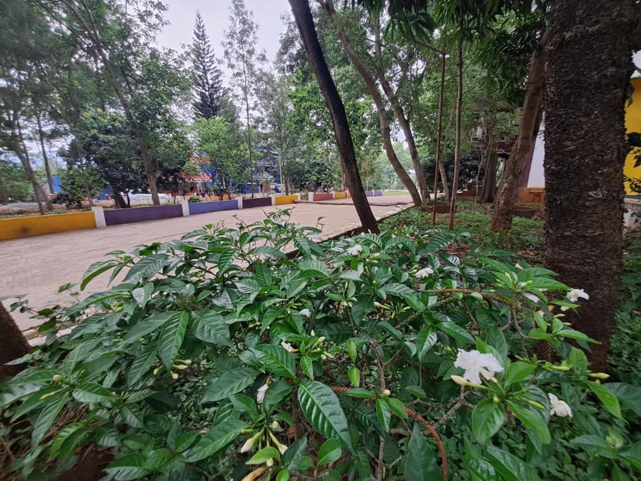 Ushodaya Resorts Araku Exterior foto