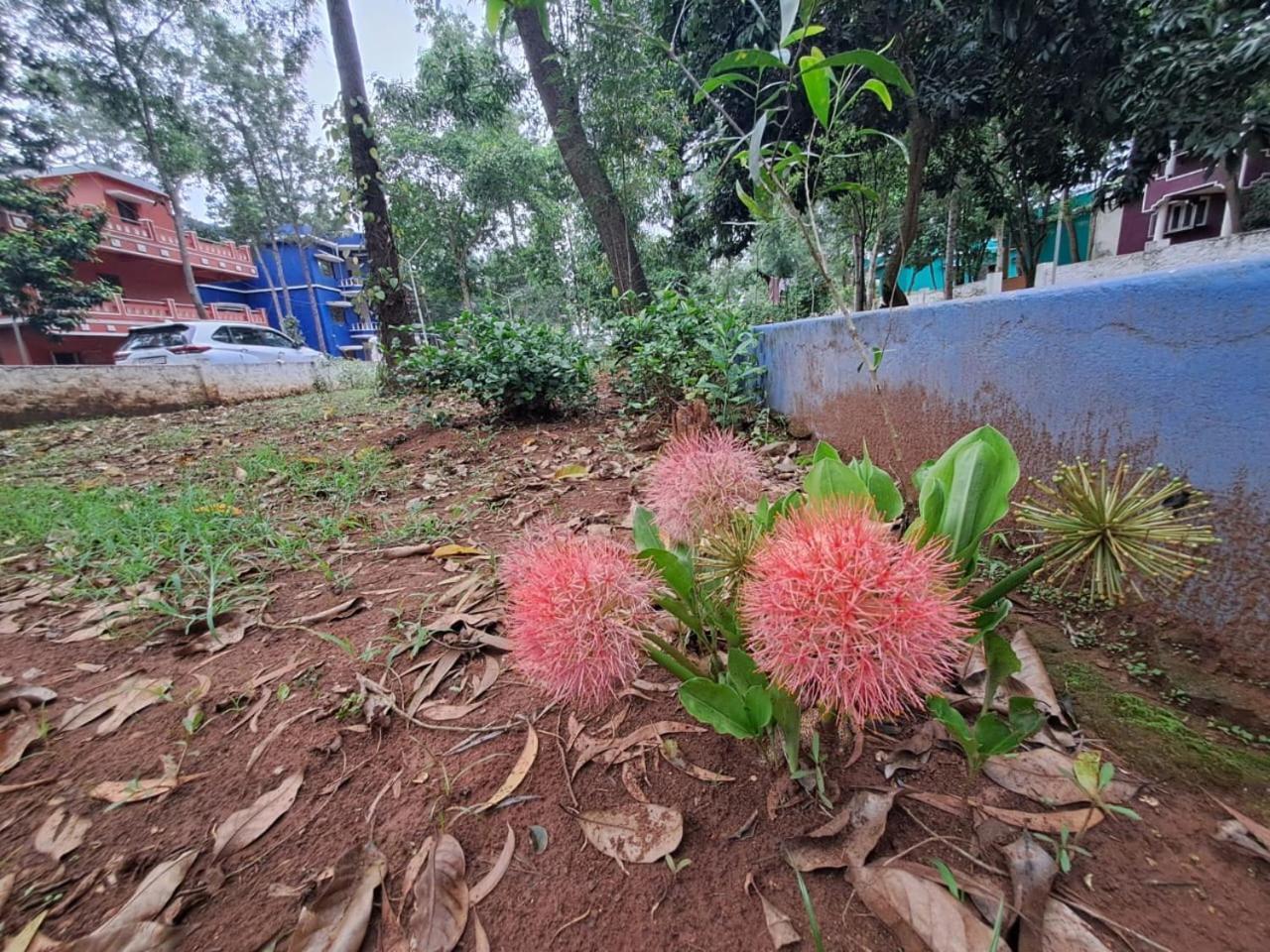 Ushodaya Resorts Araku Exterior foto